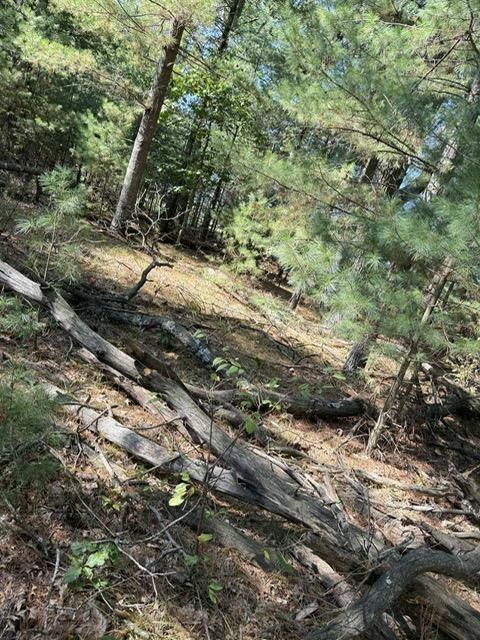 Tiny photo for LOT 35 CZECH CT Court, Arkdale, WI 54613 (MLS # 2010376)