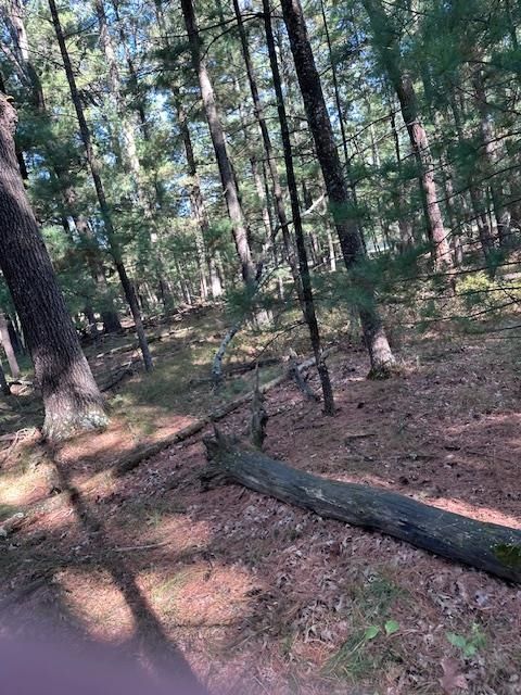Tiny photo for LOT 35 CZECH CT Court, Arkdale, WI 54613 (MLS # 2010376)