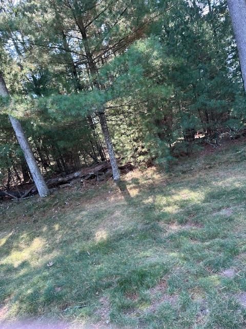 Tiny photo for LOT 35 CZECH CT Court, Arkdale, WI 54613 (MLS # 2010376)