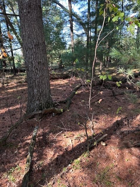 Tiny photo for LOT 35 CZECH CT Court, Arkdale, WI 54613 (MLS # 2010376)