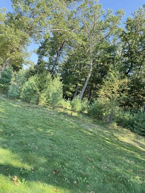 Tiny photo for LOT 35 CZECH CT Court, Arkdale, WI 54613 (MLS # 2010376)
