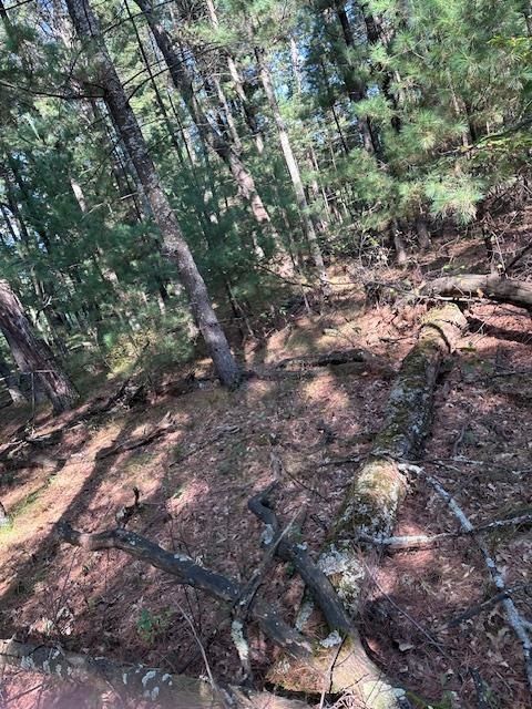 Tiny photo for LOT 35 CZECH CT Court, Arkdale, WI 54613 (MLS # 2010376)