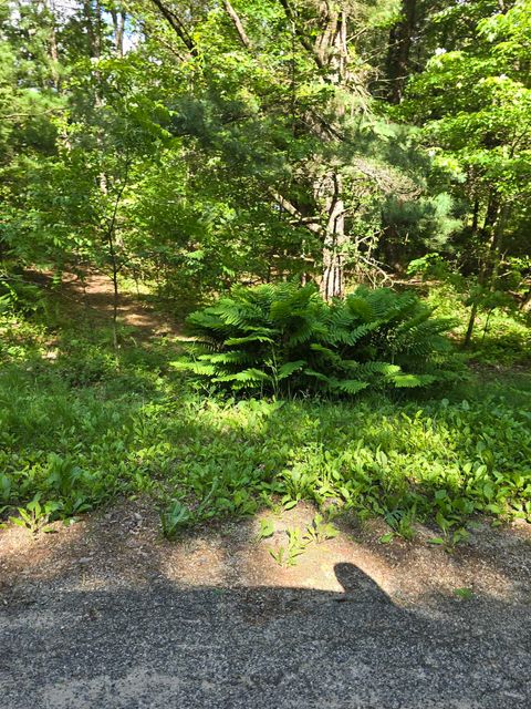 Tiny photo for 2838 W 3rd Drive, Oxford, WI 53952 (MLS # 1994702)