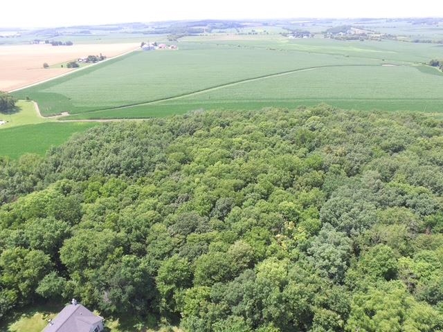 Lot 9 Mount Hope Road - Photo 3