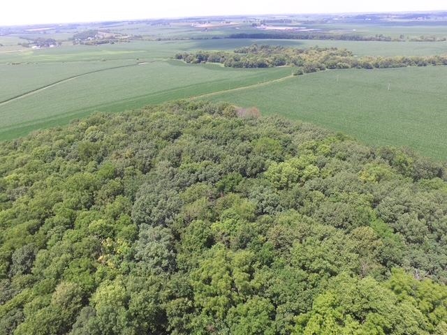Lot 9 Mount Hope Road - Photo 4