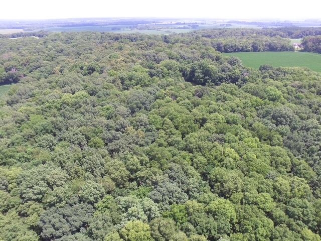 Lot 9 Mount Hope Road - Photo 2
