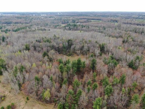 Photo of 40 AC W Oakwood Dr Acres, Mosinee, WI 54455 (MLS # 2022438)