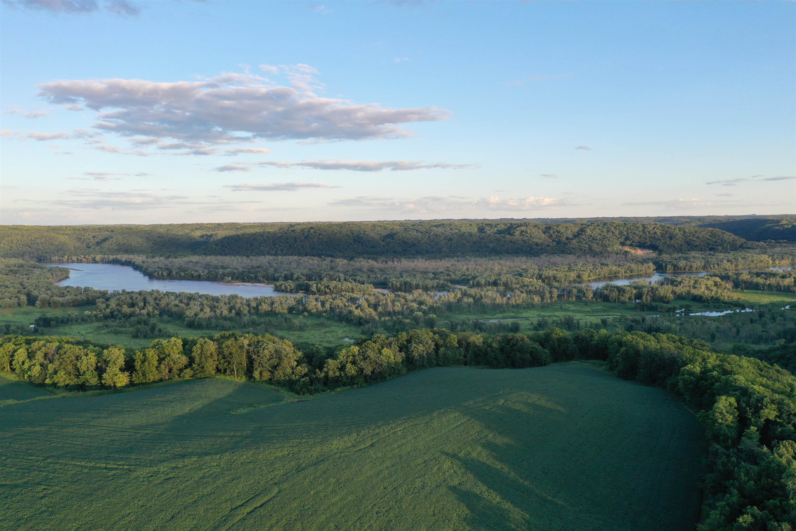 TBD 208 Acres Cottontail Lane