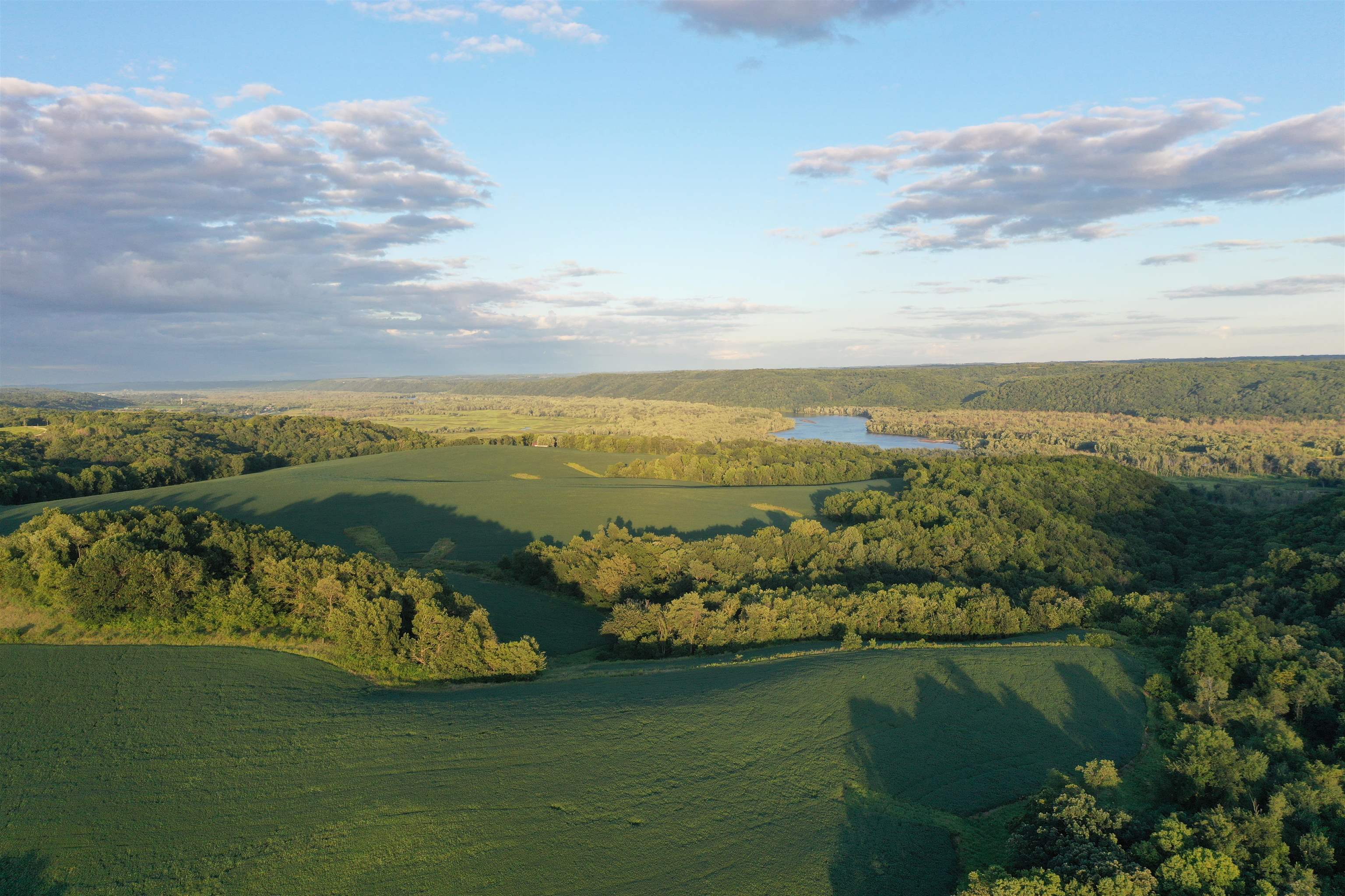 TBD 208 Acres Cottontail Lane