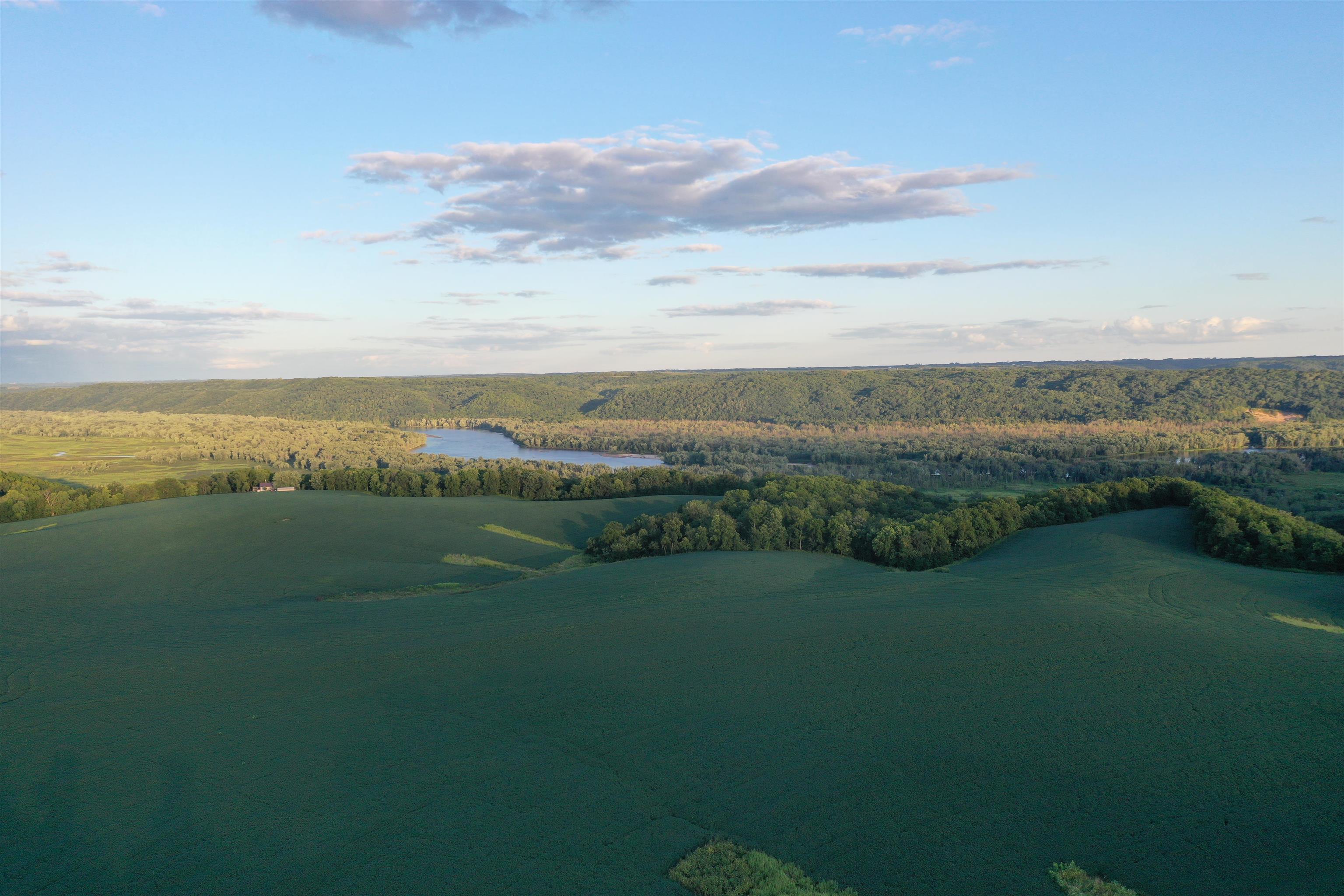 TBD 208 Acres Cottontail Lane