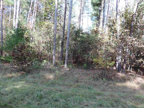 Photo of 9999 Phylane Road, Spring Green, WI 53588 (MLS # 2034660)