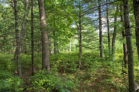 Photo of 3 acres 41st Street, Mauston, WI 53948 (MLS # 2031619)