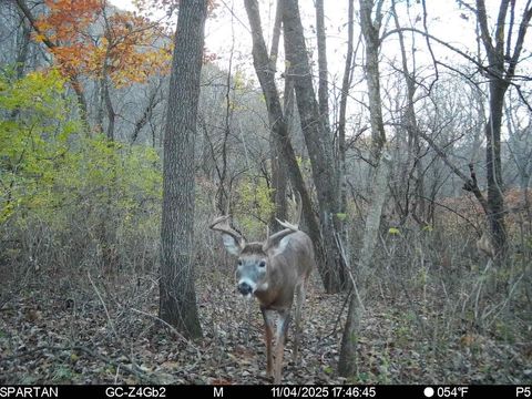 Tiny photo for 1504 Atom Road, Warrens, WI 54666 (MLS # 2012803)