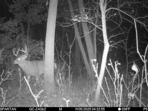 Tiny photo for 1504 Atom Road, Warrens, WI 54666 (MLS # 2012803)