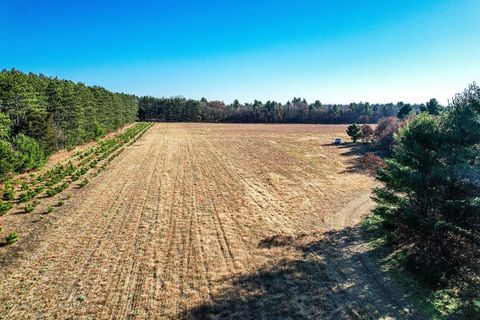 Tiny photo for 1504 Atom Road, Warrens, WI 54666 (MLS # 2012803)