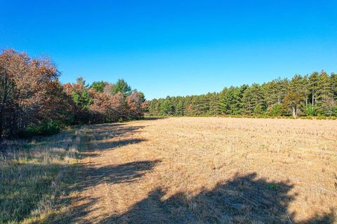 Tiny photo for 1504 Atom Road, Warrens, WI 54666 (MLS # 2012803)