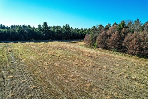 Tiny photo for 1504 Atom Road, Warrens, WI 54666 (MLS # 2012803)