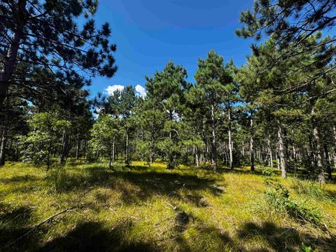 Tiny photo for 37 AC State Highway 13 Acres, Nekoosa, WI 54457 (MLS # 2009947)
