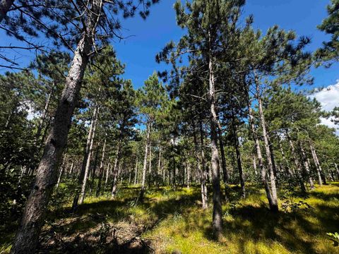 Tiny photo for 37 AC State Highway 13 Acres, Nekoosa, WI 54457 (MLS # 2009947)