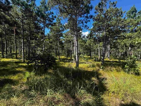 Tiny photo for 37 AC State Highway 13 Acres, Nekoosa, WI 54457 (MLS # 2009947)
