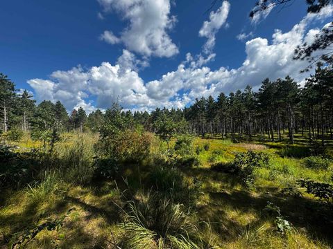 Tiny photo for 37 AC State Highway 13 Acres, Nekoosa, WI 54457 (MLS # 2009947)