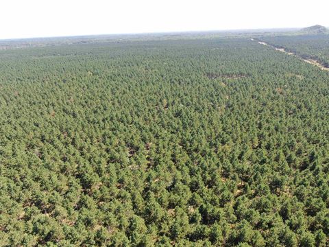 Tiny photo for 37 AC State Highway 13 Acres, Nekoosa, WI 54457 (MLS # 2009947)