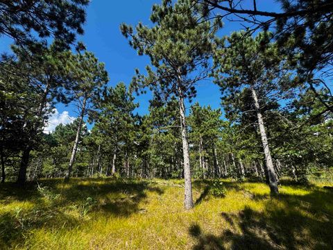 Tiny photo for 37 AC State Highway 13 Acres, Nekoosa, WI 54457 (MLS # 2009947)
