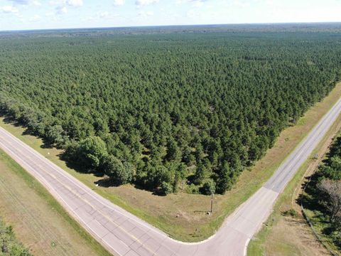 Photo of 37 AC State Highway 13 Acres, Nekoosa, WI 54457 (MLS # 2009947)