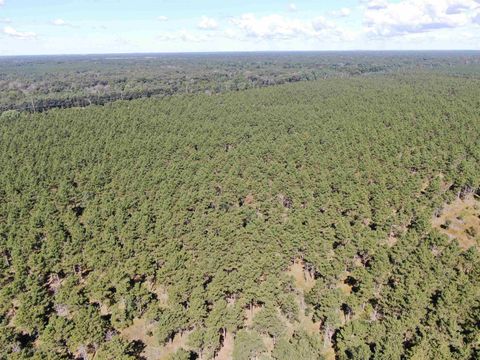 Tiny photo for 37 AC State Highway 13 Acres, Nekoosa, WI 54457 (MLS # 2009947)