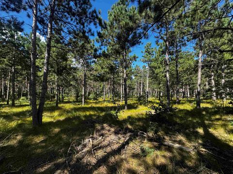 Tiny photo for 37 AC State Highway 13 Acres, Nekoosa, WI 54457 (MLS # 2009947)