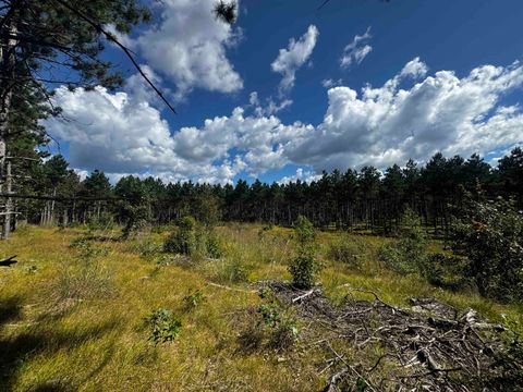 Tiny photo for 37 AC State Highway 13 Acres, Nekoosa, WI 54457 (MLS # 2009947)