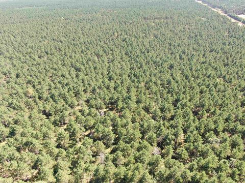 Tiny photo for 37 AC State Highway 13 Acres, Nekoosa, WI 54457 (MLS # 2009947)