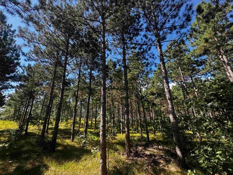 Tiny photo for 37 AC State Highway 13 Acres, Nekoosa, WI 54457 (MLS # 2009947)