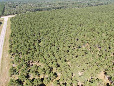 Tiny photo for 37 AC State Highway 13 Acres, Nekoosa, WI 54457 (MLS # 2009947)