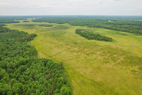Photo of 000 Cty Hwy Z, Pittsville, WI 54466 (MLS # 2027844)