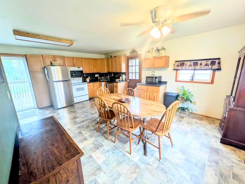 Tiny photo for 1332 11th Drive, Friendship, WI 53934 (MLS # 2011105)