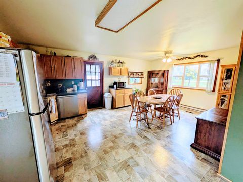 Tiny photo for 1332 11th Drive, Friendship, WI 53934 (MLS # 2011105)