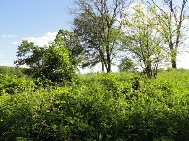 Lot 26 Lalor Lane