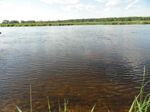 Tiny photo for Lot 26 Lalor Lane, Montello, WI 53949 (MLS # 2002603)