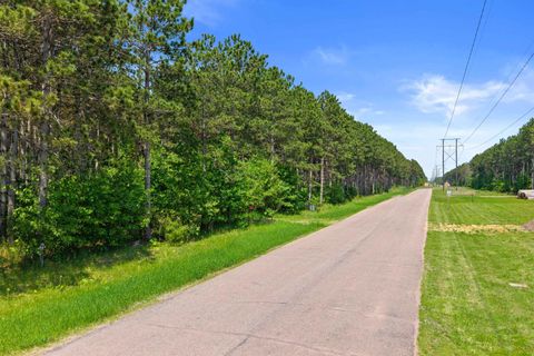 Tiny photo for 399 Twin Lakes Trail, Nekoosa, WI 54457 (MLS # 2001241)