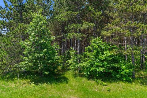 Tiny photo for 399 Twin Lakes Trail, Nekoosa, WI 54457 (MLS # 2001241)