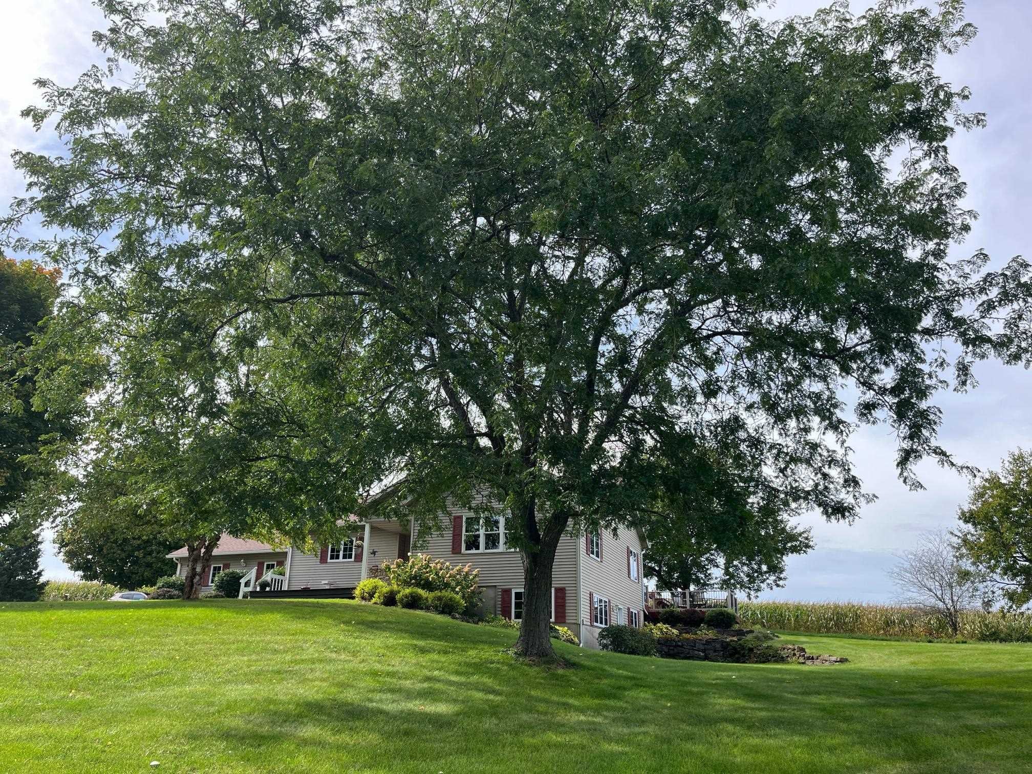850 Cannon-McFall Road