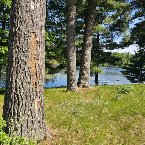 Photo of 558 Blass Lake Drive, Wisconsin Dells, WI 53965 (MLS # 2024504)