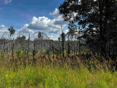 Tiny photo for 40 AC 15th Ave Acres, Arkdale, WI 54613 (MLS # 2009958)