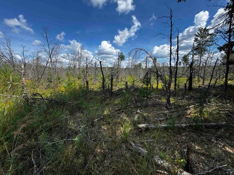 Tiny photo for 40 AC 15th Ave Acres, Arkdale, WI 54613 (MLS # 2009958)
