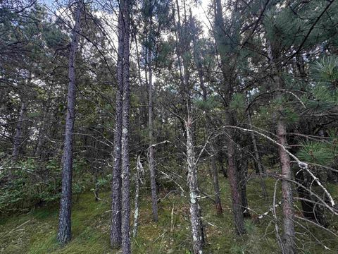 Tiny photo for 40 AC 15th Ave Acres, Arkdale, WI 54613 (MLS # 2009958)