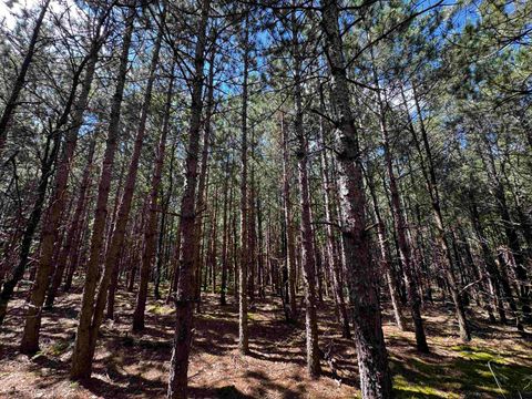 Tiny photo for 40 AC 15th Ave Acres, Arkdale, WI 54613 (MLS # 2009958)
