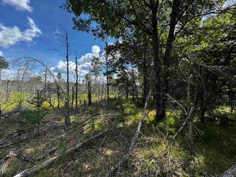 Tiny photo for 40 AC 15th Ave Acres, Arkdale, WI 54613 (MLS # 2009958)