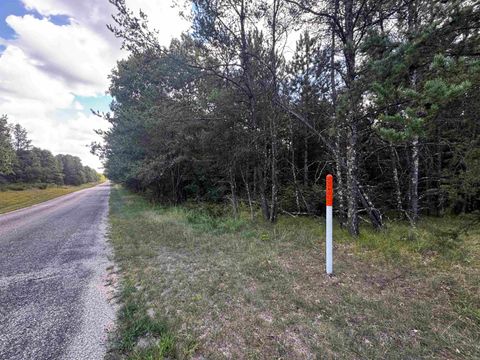 Tiny photo for 40 AC 15th Ave Acres, Arkdale, WI 54613 (MLS # 2009958)