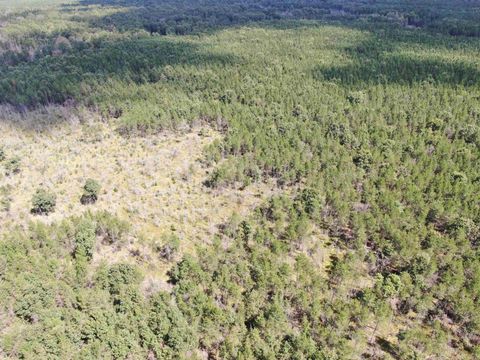 Tiny photo for 40 AC 15th Ave Acres, Arkdale, WI 54613 (MLS # 2009958)